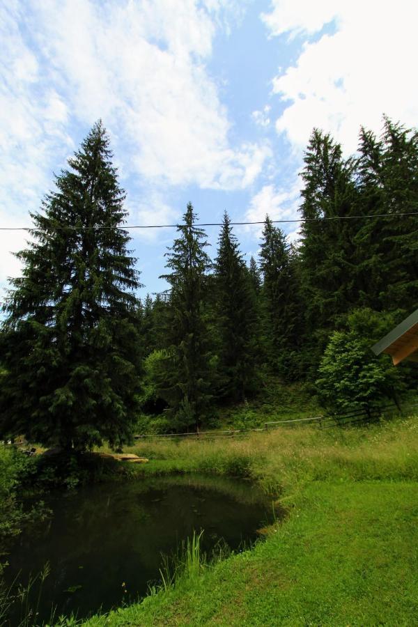 Hrystyna Apartment Yablunytsya Bagian luar foto